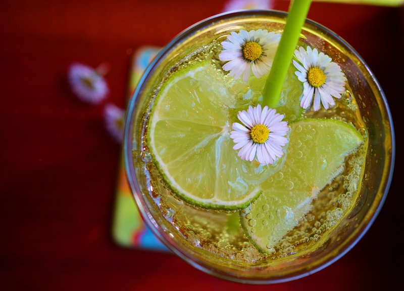 wellbeing, ice, no people, slice, liquid, lemon, garnish, food, clear, lime, citrus Fruit, green Color, yellow, juice, chamomile, directly above, refreshment