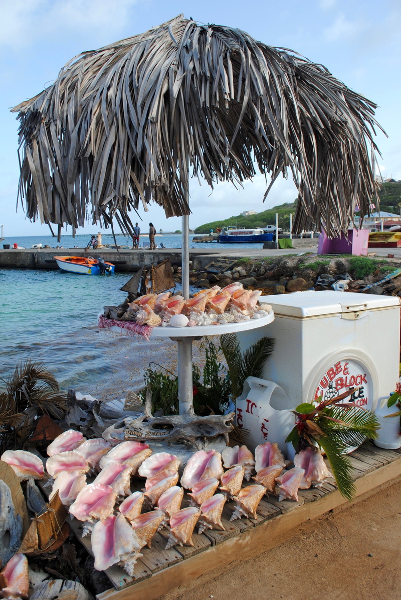 stand, outdoors, palm tree, kitschy, nature, grenadines, souvenir, union island, tropical climate, seaport, thatch, thatched, thatched roof, roof, day