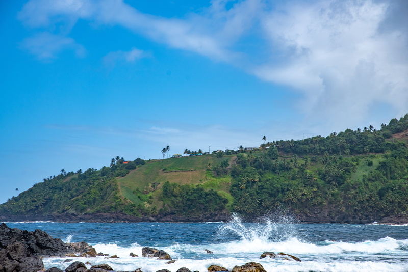 5K, tree, sky, rough sea, plant, sea, tranquility, land, motion, day, no people, beauty in nature, cloud - sky, scenics - nature, non-urban scene, flowing water