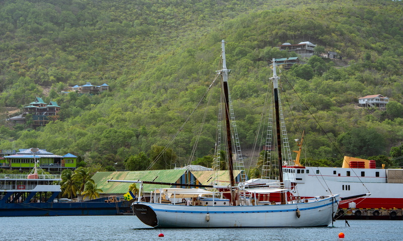 transportation, sailors wilderness tours, nautical vessel, becquia, tree, nature, waterfront, architecture, no people, plant, moored, pole, yacht, day