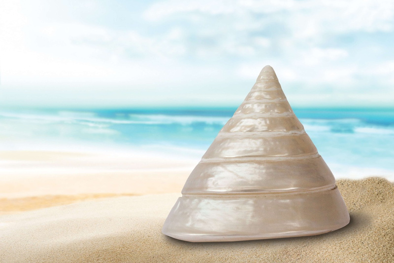outdoors, wave, holiday, macro, horizon, beach, housing, shimmer, decorative, nature, no people, day, cloud - sky, sea snail, animal, tranquil scene, memory
