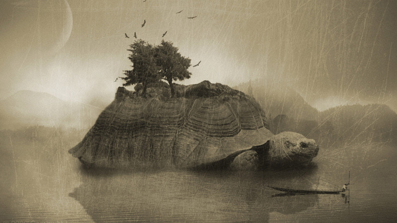 invertebrate, rock, turtle, tranquil scene, terrapin, texture, rock - object, brown, trilobite, non-urban scene, outdoors, arthropod, sea turtle, tree