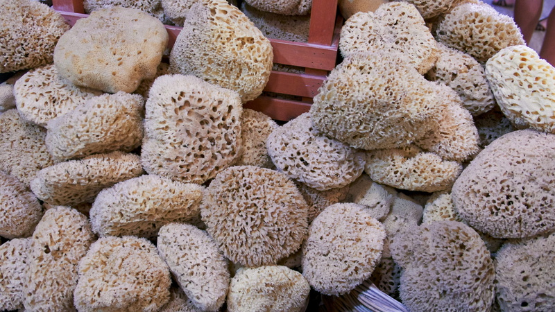 sweet, market, healthy eating, retail display, for sale, no people, organism, marine, ocean, wellbeing, close-up, abundance, snack, underwater, variation