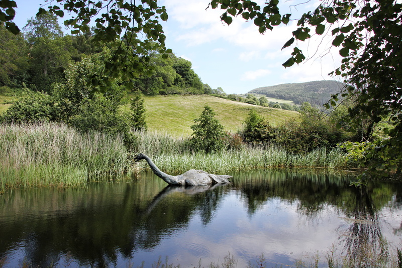 floating, scotland, plant, water, swan, body, no people, places of interest, tranquility, reflection, legend, nessie, lake, calm, gray, loch ness, animal themes