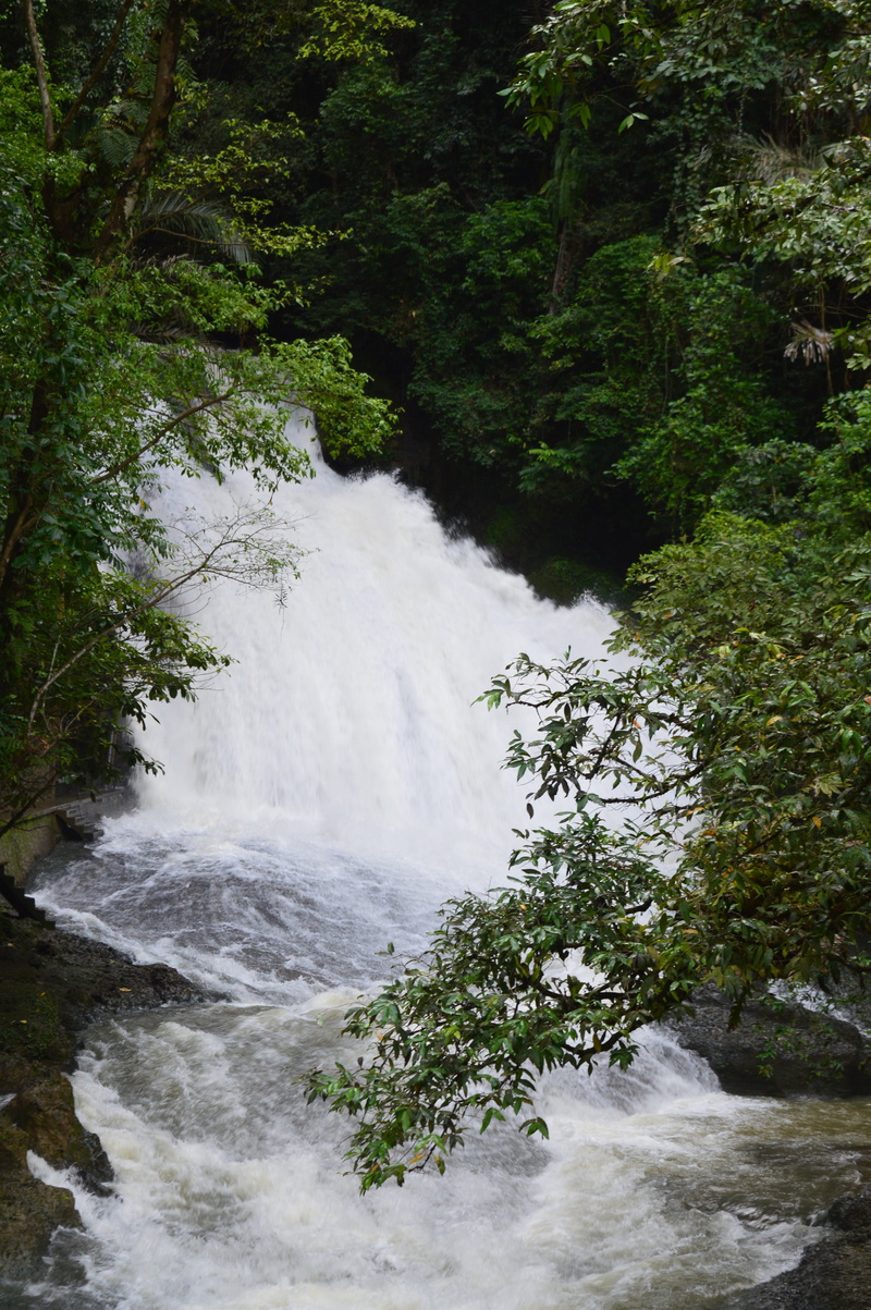water, flowing water, day, no people, sulawesi, land, power in nature, outdoors, tree, bantimurung, growth, plant, forest, waterfall, rainforest, long exposure