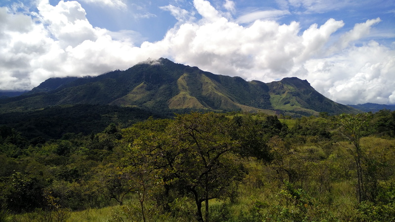 tree, land, green color, panorama, 4K, mountains, outdoors, landscape, plant, indonesia- west sulawesi, tranquility, non-urban scene, cloud - sky, day