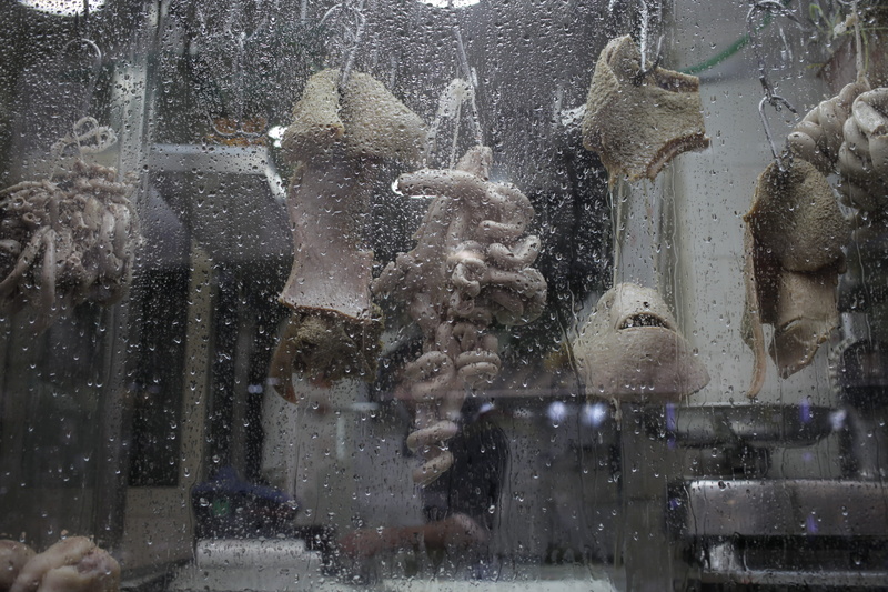 day, meat, glass - material, winter, architecture, italy, motion, intestines, representation, cooking, nature, kitchen, snowing, building exterior, 4K