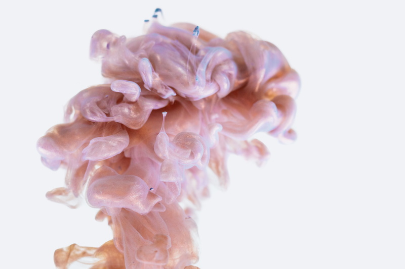 animal, nature, cut out, blossom, vulnerability, still life, acrylic, paint, freshness, no people, close-up, sweets, pattern, softness, brain, tissue, pink color