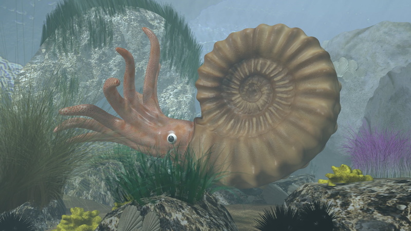 1080P, CGI, Animal, 3D, Ammonite