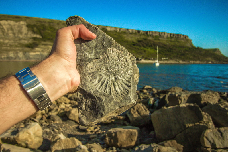 coast, hand, finger, ocean, nature, fossils, england, solid, one person, watch, one man only, wristwatch, gray, human body part, ammonite, outdoors, day
