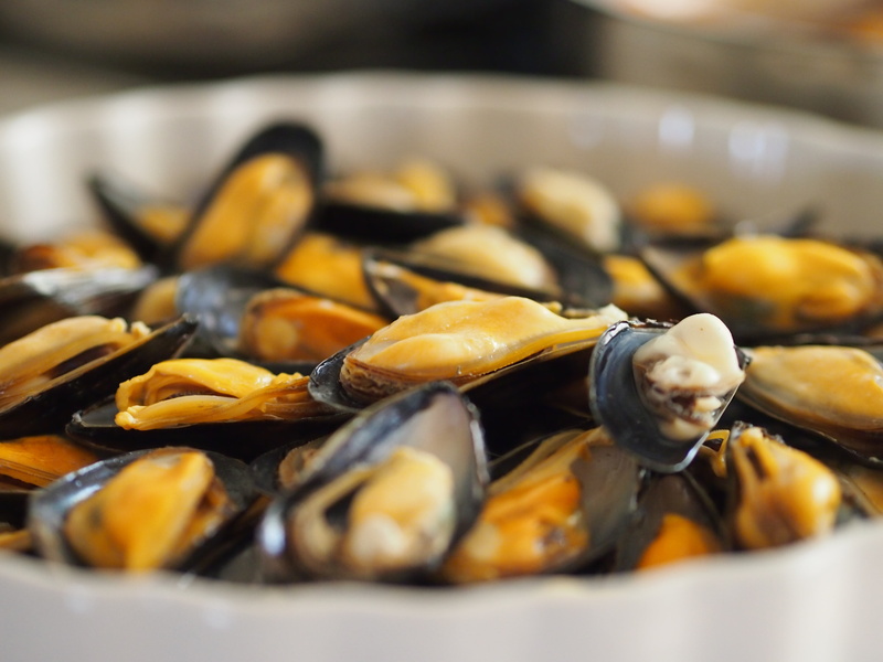 clams, wellbeing, muscles, food, ready-to-eat, healthy eating, tray, selective focus, plate, molluscs, seafood, preparation, gourmet, freshness, heat - temperature