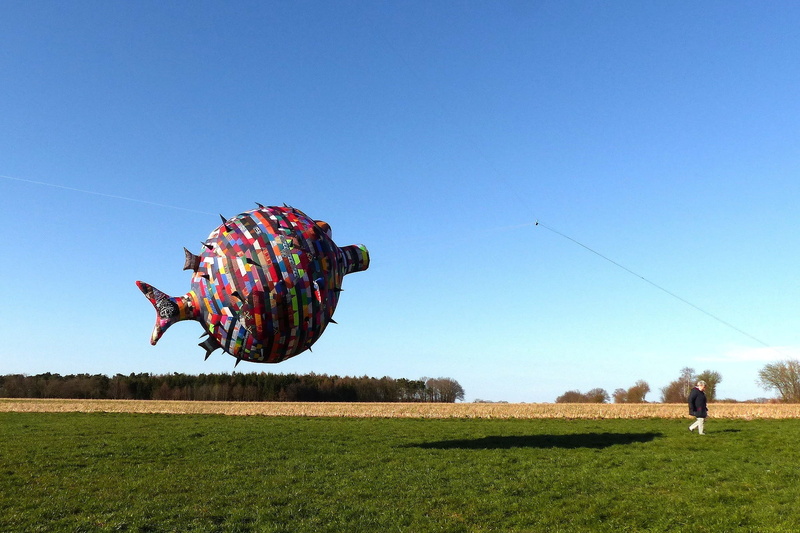kite - toy, grass, men, land, chinese puffer, motion, nature, clear sky, windspiel, fun, Puffer, sky, plant, Chinese, field, Colorful, sunny, casual clothing