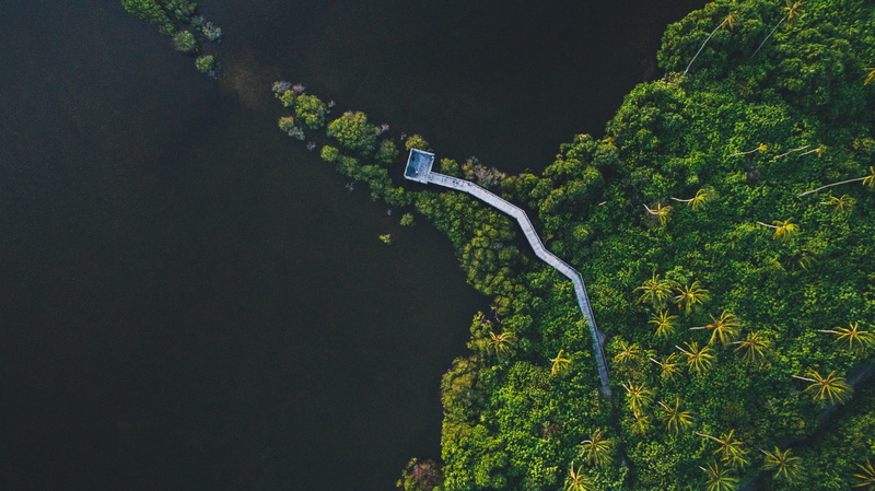 high Angle View, islet, green, eye, water, landscape, birds, forest, copy space, outdoors, body of water, land, animal, plant, river, daytime, nature, 4K