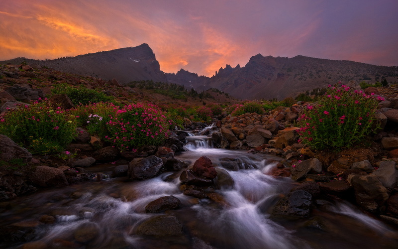 plant, oregon, land, pc, central, cloud - sky, stream - flowing water, mountain, flowing, long exposure, motion, rock - object, sky, water, mobile