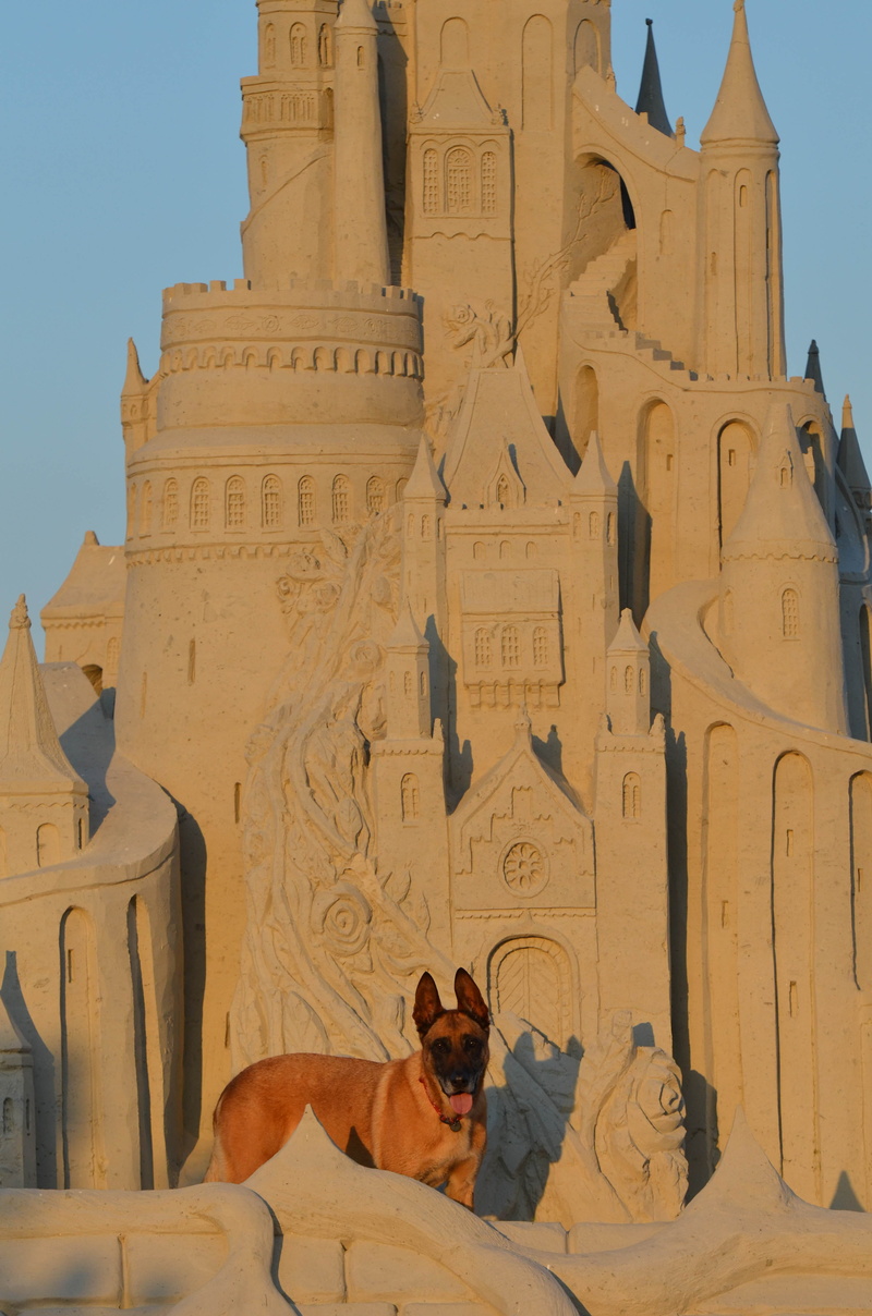 tourism, fairytales sand sculpture, history, building exterior, religion, one animal, structures of sand, tales from sand, malinois, spirituality, sand castle