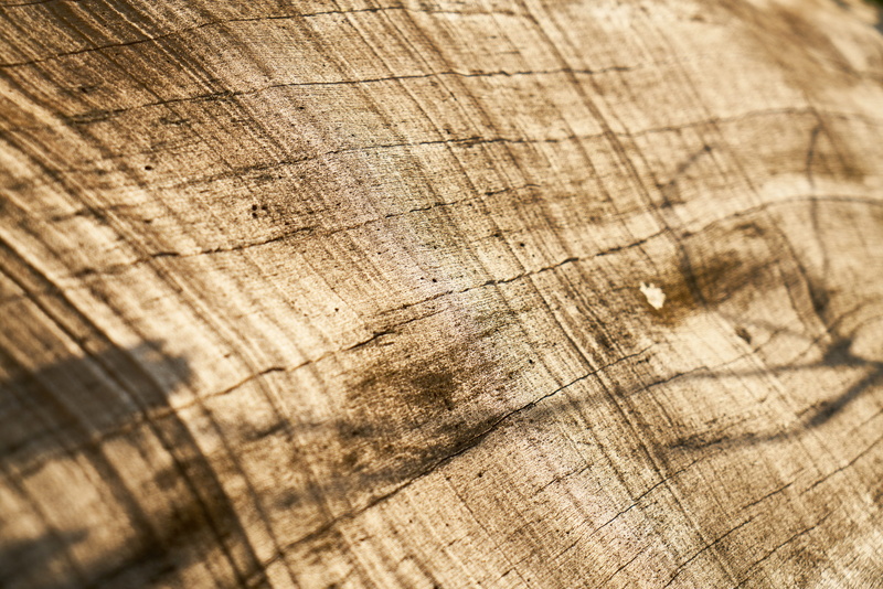 surface, natural pattern, brown, table, decor, texture, tree, weathered, tree stump, abstract, bark, concentric, macro, wood, structure, backgrounds, timber