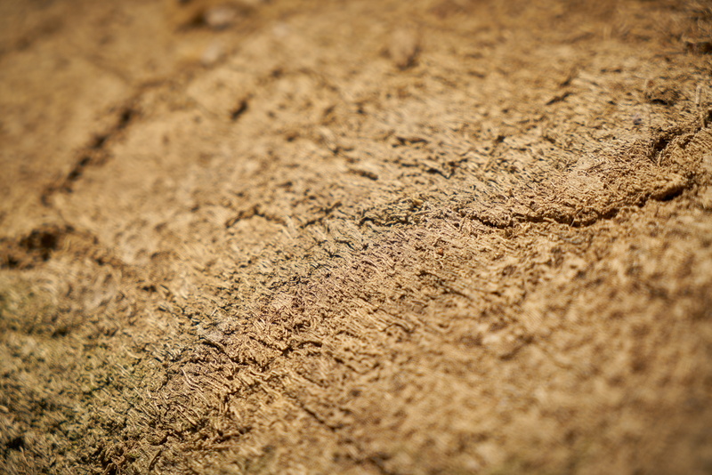 horizontal, shell, surface level, detail, design, outdoors, environment, composition, dry, mud, no people, backgrounds, color, table, wheel, tire, full frame