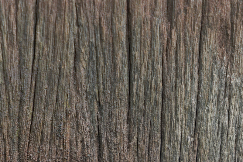 textured, horizontal, natural pattern, color image, table, weathered, outdoors, nobody, old, wood tissue, wood-fibre boards, 4K, tree, textured effect