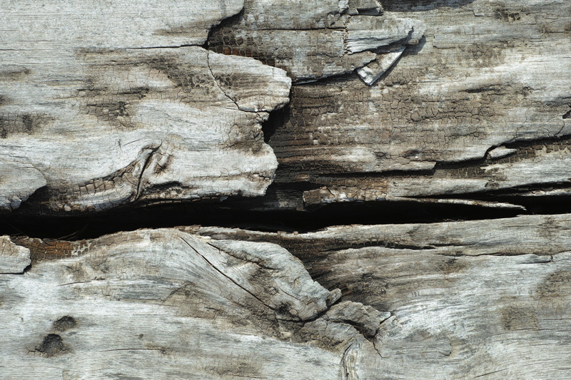 detail, tree, color, outdoors, detail shots, rough, furniture, nobody, wooden, brown, vivid color, motif, old, close-up, parquet, full frame, pattern, day