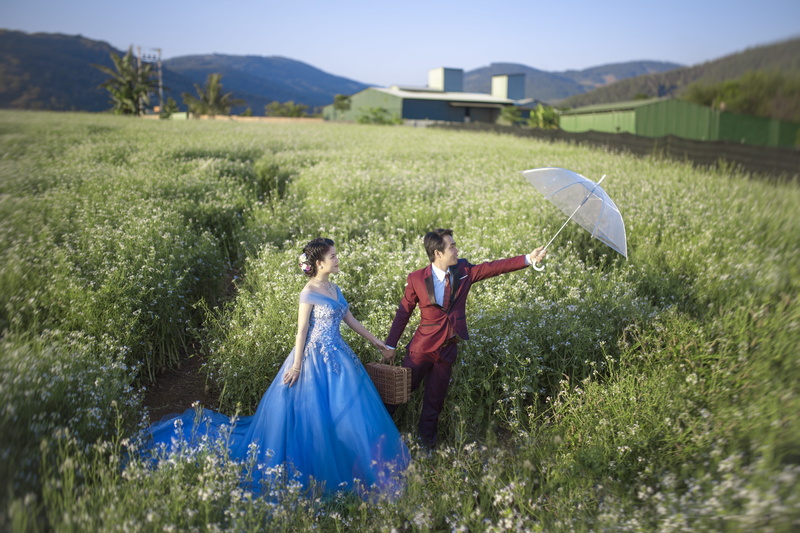 woman, celebration, wedding dress, adult, outdoors, event, beauty, plant, standing, natural, wedding photo, women, wedding, two people, grass, man, nature