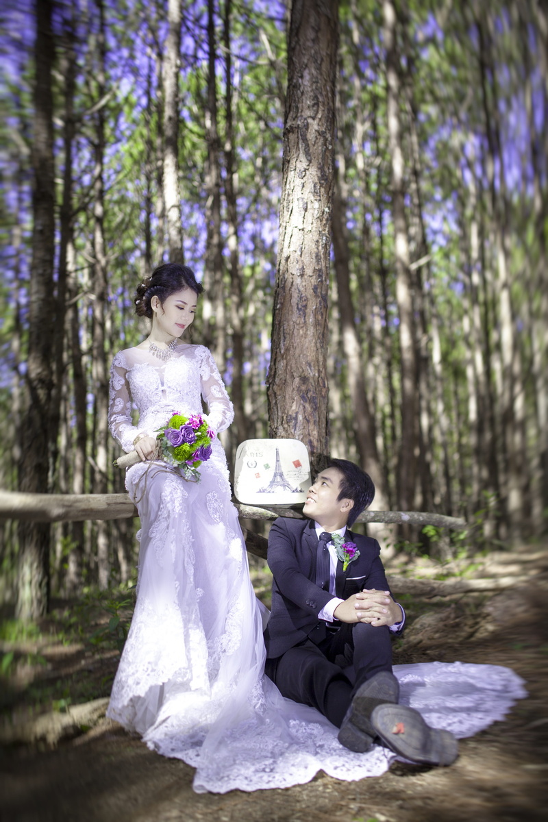 phoenix flower, wedding, sitting, young adult, real people, wedding photo, land, outdoors, flowers bloom, scene, young women, three quarter length, the morning