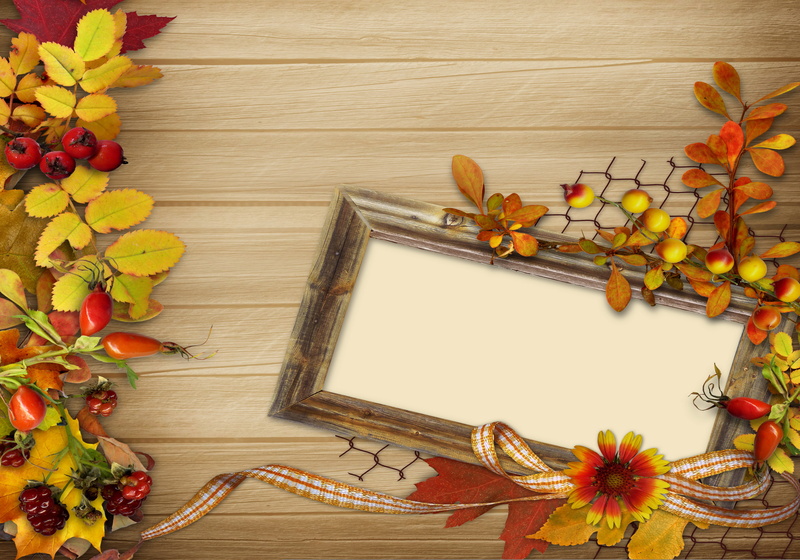 blank, decor, vintage, healthy eating, high angle view, white, holiday, flower head, leaves, autumn, no People, space, still life, copy Space, framed, wood
