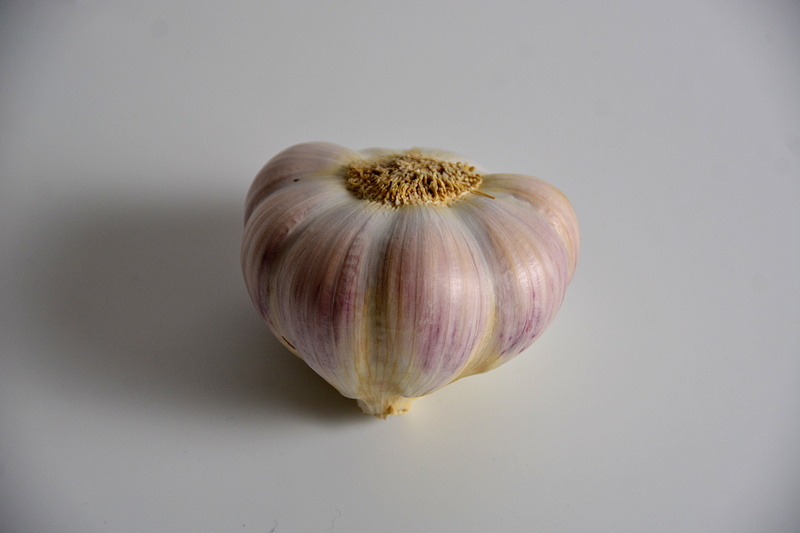 single object, vegetable, food and drink, garlic, freshness, purple, indoors, clove of garlic, studio shot, still life, condiment, no people, healthy eating
