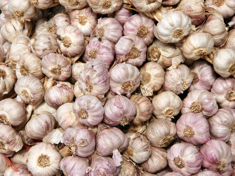 root, texture, large group of objects, bunch, freshness, condiment, no People, garlic clove, cooking, vegetarian Food, spice, bulbs, organic, garlic bulb