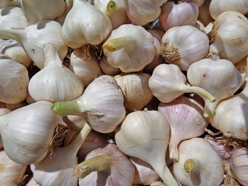 garlic bulb, garlic, vitamins, health, healthy, garlic clove, nature, healthy eating, market, fresh, ensiling cucumbers, backgrounds, natural, bunch, 4K