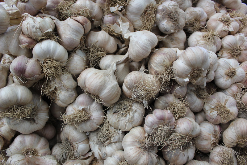 market, still life, garlic, plant bulb, texture, background, raw food, ingredient, white, wellbeing, healthy eating, large group of objects, full frame