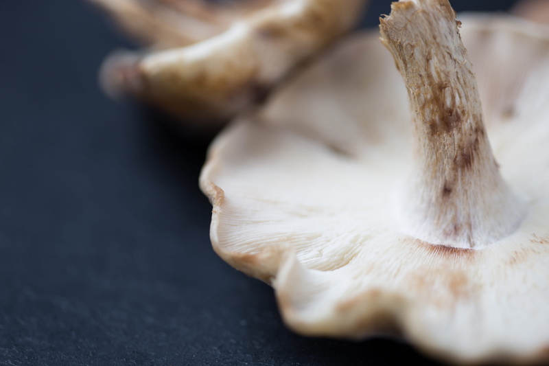 4K, woodland, Macro shot, healthy, mushroom, vegetables, edible Mushroom, vegetable, brown, table, food/Drink, raw Food, garlic, macro, no People, selective focus