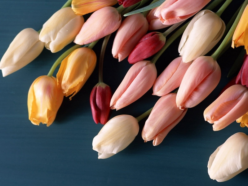 assorted, color Image, leaf, still life, vegetable, close-up, high angle view, flowers, food, colors, freshness, nature, group of Objects, flowering plant