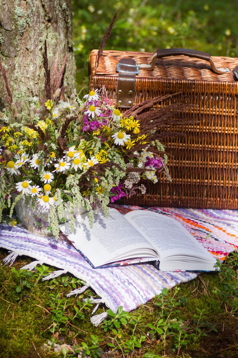 nature, day, flowers, floral, decorative, growth, no people, front or back yard, flower, coloring, bouquet, forest, book, paper, field, grass, summer, sunlight