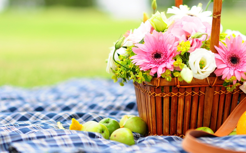 4k, Flowers, bascet, apple, picnic, Gerbera, 4K