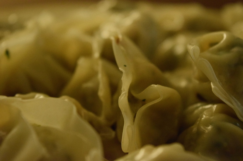 dumplings, texture, full frame, backgrounds, studio shot, plant, food and drink, chinese, nature, wontons, beauty in nature, extreme close-up, taiwanese