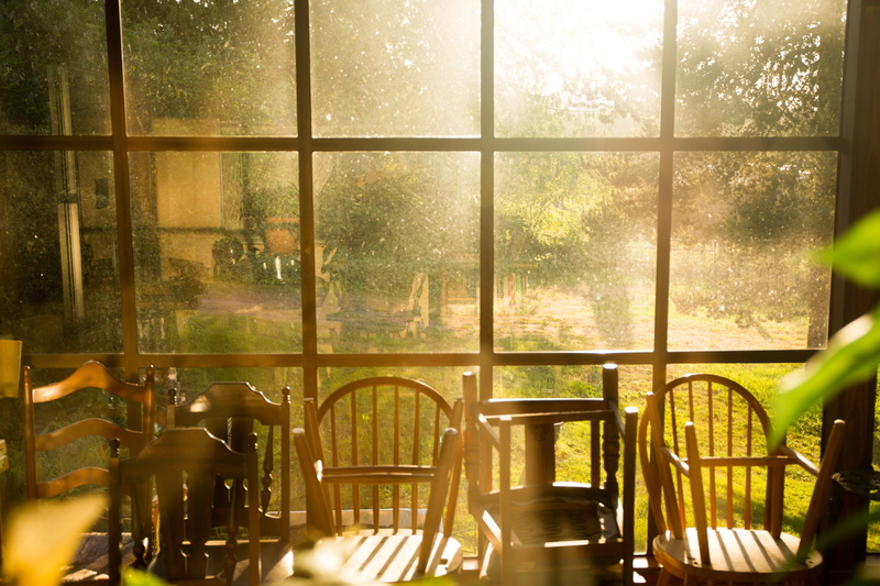 life, wood - Material, sunlight, seat, glass, windsor, architecture, kitchen, indoors, scene, nature, window, chair, restaurant, plant, transparent, wooden
