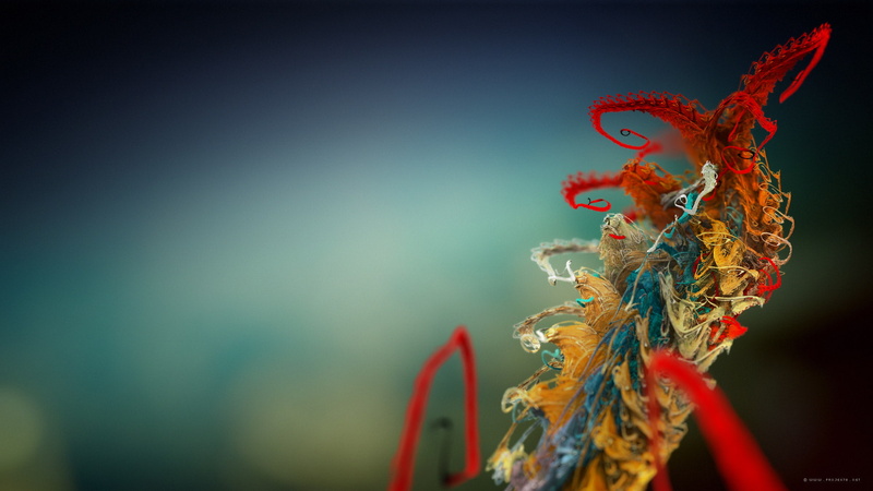 plant, 1080P, micro