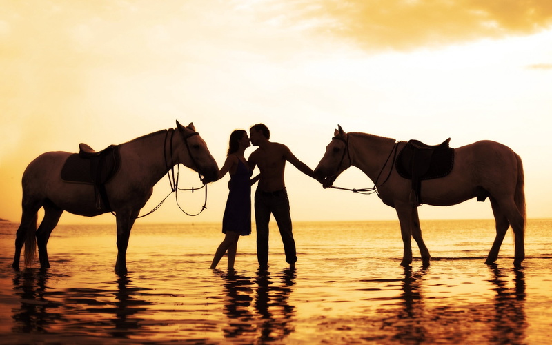 pets, sunrise - Dawn, real people, dusk, men, travel Destinations, riding, sea, sand, travel Locations, sky, landscape, vertebrate, back Lit, togetherness