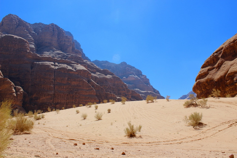 desert, rock, sand, clear sky, cyan, shrubs, daylight, 1080P