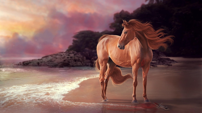 horse, dream, water, animal wildlife, beach, digital composite, mammal, art, sunset, full length, animal themes, livestock, motion, outdoors, beauty in nature