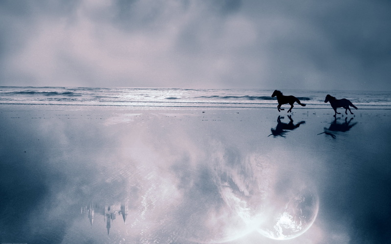 couple, cold temperature, escape, beauty in nature, scenics, surfing, animal, outdoors, tranquil Scene, sunset, winter sport, coast, ice, land, sea, domestic animals