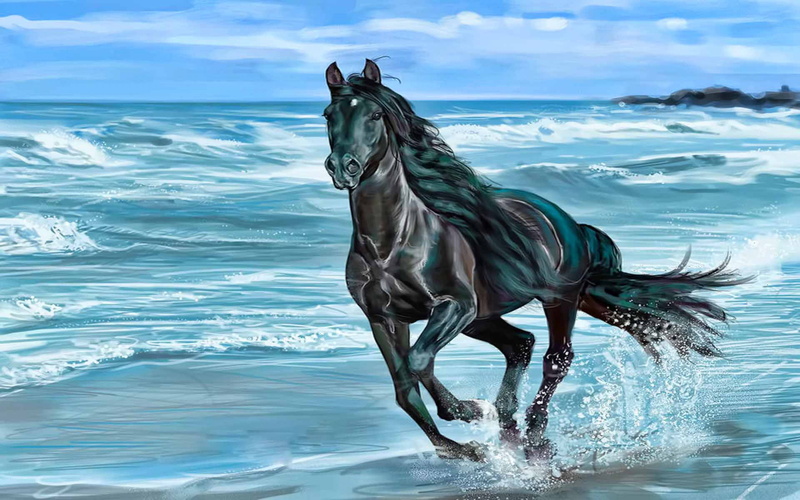 animals, one animal, running, sky, 4K, animal wildlife, outdoors, beauty, horse, nature, day, sea, motion, cloud - sky, pets, beach, domestic animals