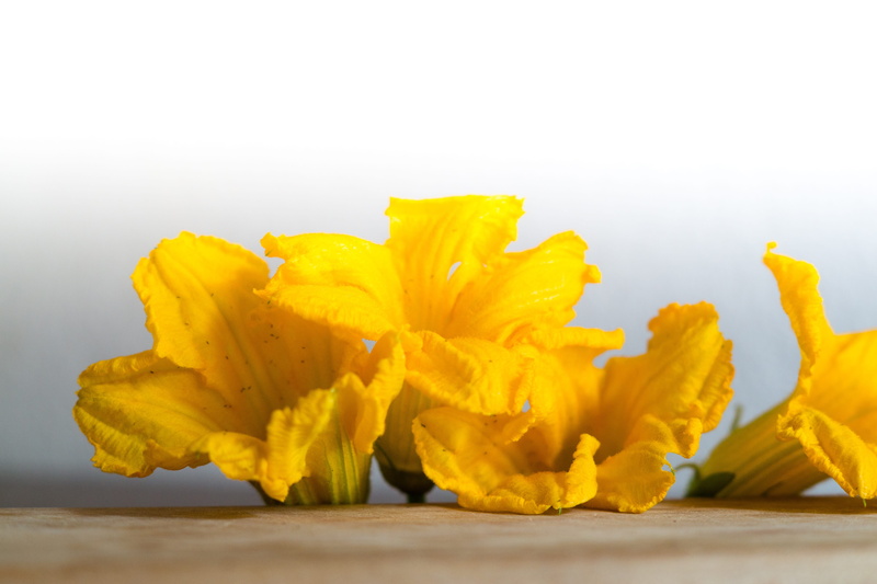 nature, the flowers of the marrow of the bones, colorful, plant, single object, vegetable, vegetarian food, flowers pumpkin, pumpkins, abstract, wellbeing