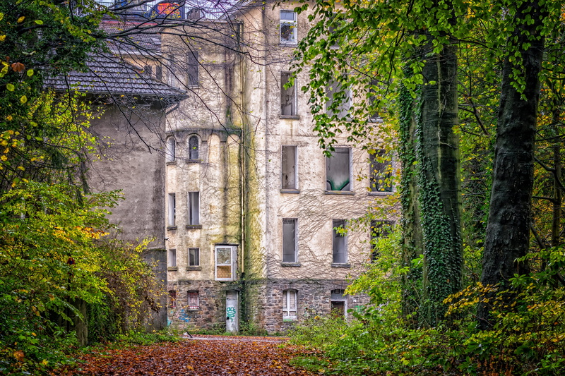 clinic, hospital, built structure, wild, forest, nature, architecture, empty, abandoned, tree trunk, land, window, growth, 5K, day, building, building exterior
