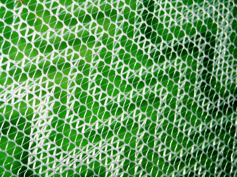 backgrounds, indoors, net - sports equipment, wire, full frame, white, mosquito nets, netting, close-up, textured, green color, abstract, 2K, textured effect
