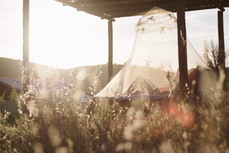 growth, net, lounging, 5K, sunlight, surface level, sky, outdoors, tranquility, field, surrounded, plant, tent, white, summer, sun, grass, day, summertime