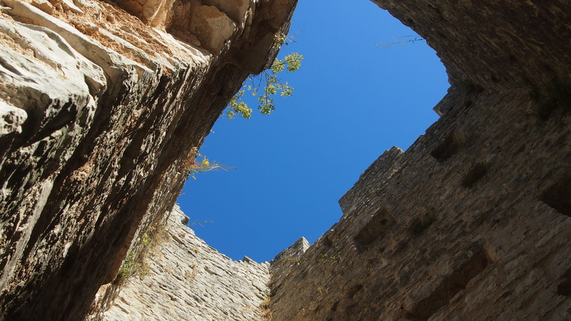 directly below, hole, tree, malaria, tower, plague, dvigrad, no people, sky, croatia, outdoors, solid, lapsed, coniferous tree, beauty in nature, travel