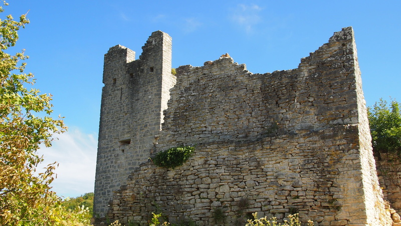 sunny, sky, no people, old, the past, archaeology, plant, 4K, ruined, travel destinations, low angle view, nature, malaria, plague, architecture, built structure