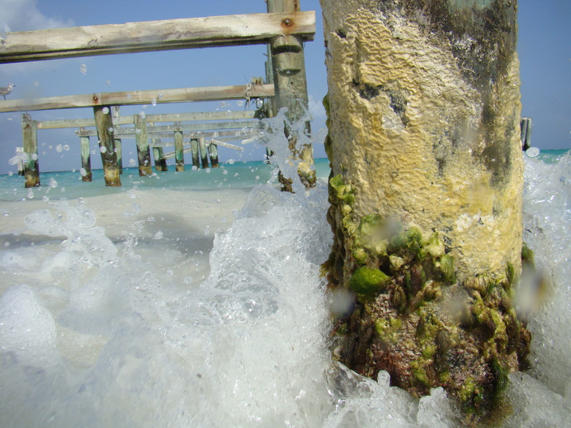 water, moss, sea, splash, sunshine, beach, day, outdoors, no people, breaking, splashing water, land, motion, mexico, power in nature, waves, ocean, beauty in nature