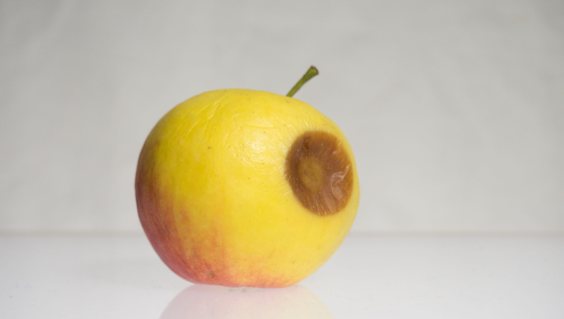 no people, yellow, citrus fruit, wellbeing, indoors, fruit, two objects, apple, close-up, still life, rotten, pear, focus on foreground, apple - fruit